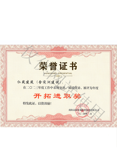 开拓进取奖证书